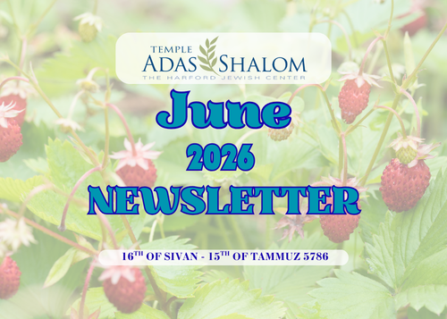 NEWSLETTER Cover (13)
